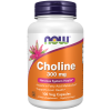 Choline 300 mg 100 Veg Capsules Choline 300 mg 100 Veg Capsules