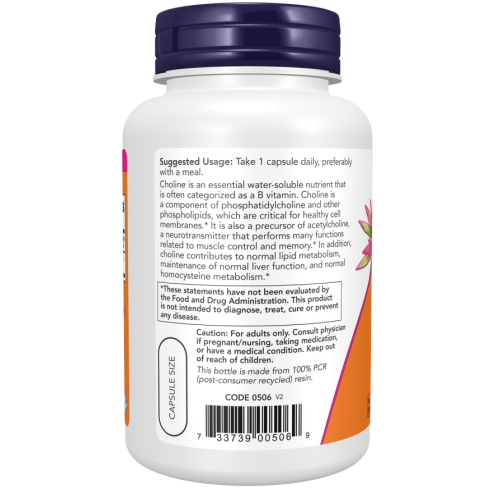 Choline 300 mg 100 Veg Capsules Choline 300 mg 100 Veg Capsules