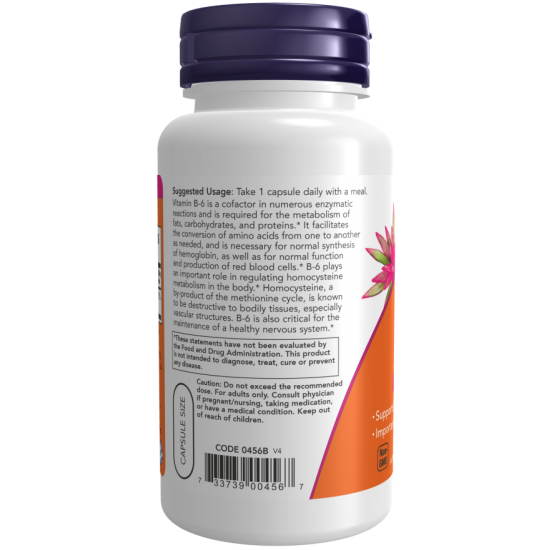 B-6 100mg 100 Capsules