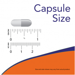 B-6 100mg 100 Capsules B-6 100mg 100 Capsules