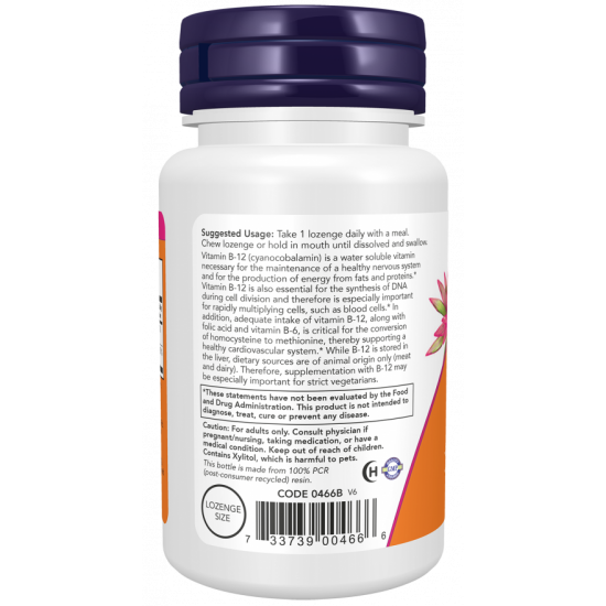 B-12 (1000 mcg) with Folic Acid 100 Chewable Lozenges