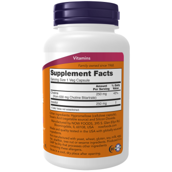 Choline & Inositol 500 mg 100 Veg Capsules