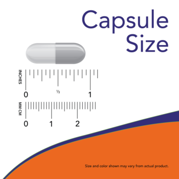 Ascorbyl Palmitate 500 mg - 100 Vcaps®