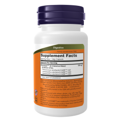 Intestinal Bacteria Support 60 Veg Capsules Intestinal Bacteria Support 60 Veg Capsules