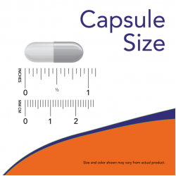 Hyaluronic Acid, Double Strength 100 mg 120 Veg Capsules