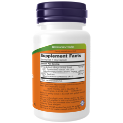 Ginkgo Biloba, Double Strength 120 mg -100 Veg Capsules Ginkgo Biloba, Double Strength 120 mg -100 Veg Capsules