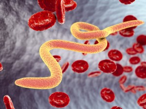 A paraziták elleni harc természetes módszere