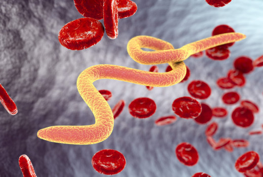 A paraziták elleni harc természetes módszere