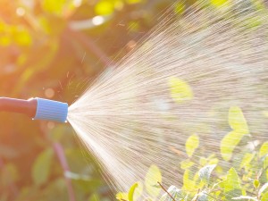 Összetevők amlyeket a NOW termékek biztosan NEM tartalmaznak