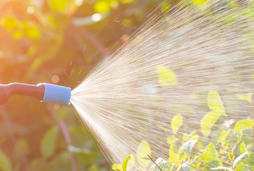 Összetevők amlyeket a NOW termékek biztosan NEM tartalmaznak