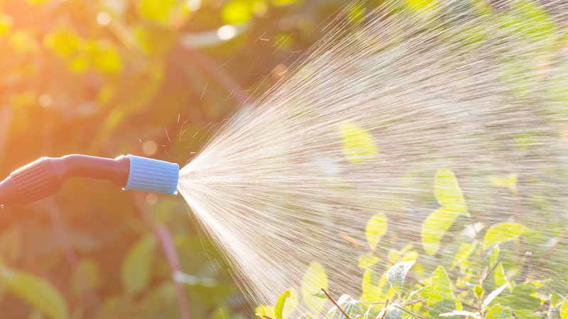 Összetevők amlyeket a NOW termékek biztosan NEM tartalmaznak