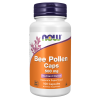 Bee Pollen 500 mg 100 Capsules