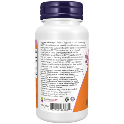 Blood Pressure Health 90 Veg Capsules