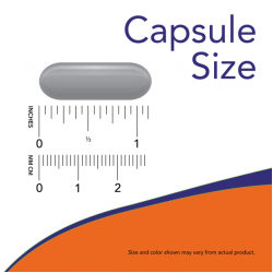 Prenatal Gels + DHA 90 softgels