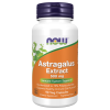 Astragalus Extract 500 mg 90 Veg Capsules