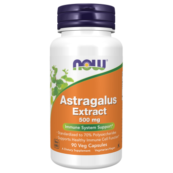 Astragalus Extract 500 mg 90 Veg Capsules