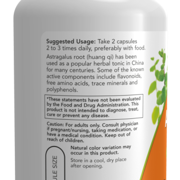 Astragalus 500 mg 100 Veg Capsules