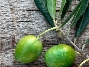 Olajfalevél kivonat: Természetes megoldás a felső légúti fertőzések ellen