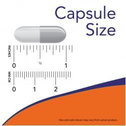 Indole-3-Carbinol (I3C) 200 mg - 60 Veg Capsules