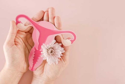 Változókor lépésről lépésre: premenopauza, menopauza és posztmenopauza