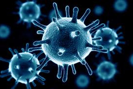 Vírusölő immunerősítés