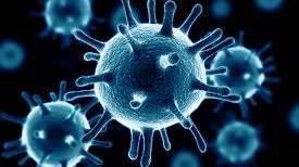 Vírusölő immunerősítés