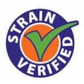 Ellenőrzött Probiotikus törzsek