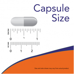 AlphaSorb-C® 500 mg 180 Veg Capsules 