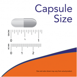 Magtein™- 90 Veg Capsules Magtein™- 90 Veg Capsules