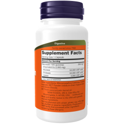 Pancreatin 2000 mg 100 Capsules Pancreatin 2000 mg 100 Capsules