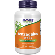 Astragalus 500 mg 100 Veg Capsules