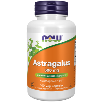 Astragalus 500 mg 100 Veg Capsules