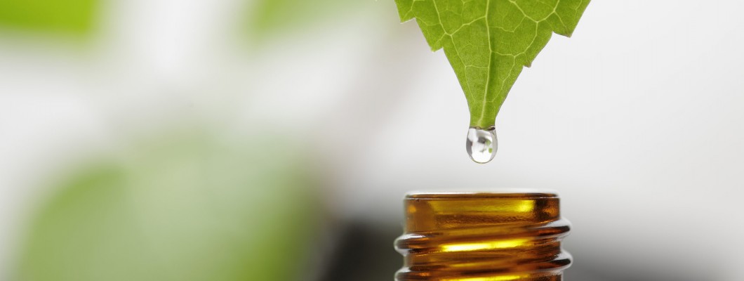 Elkötelezettségünk a természetes iránt