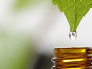 Elkötelezettségünk a természetes iránt