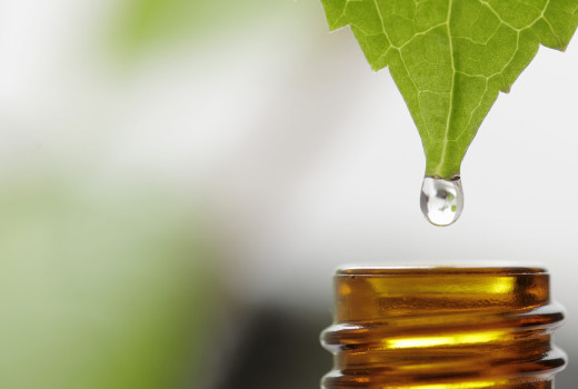 Elkötelezettségünk a természetes iránt