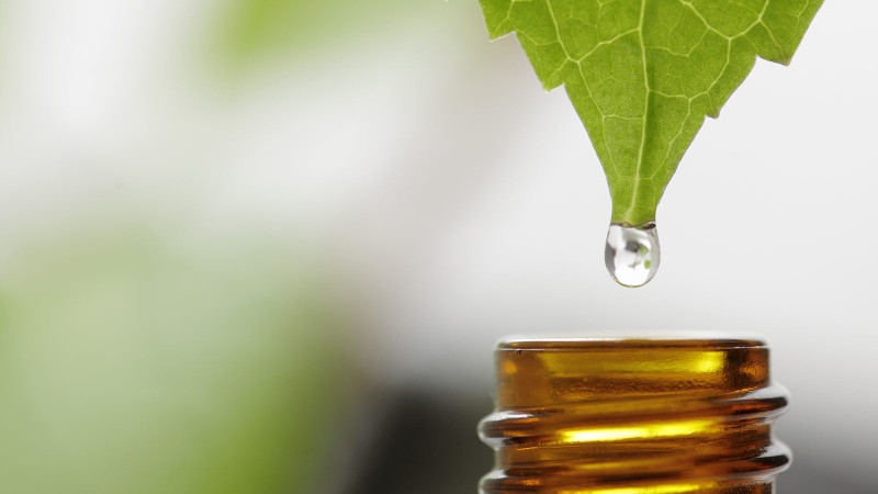 Elkötelezettségünk a természetes iránt