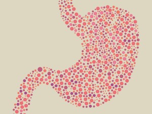 További információ az emésztőrendszer támogatásáról