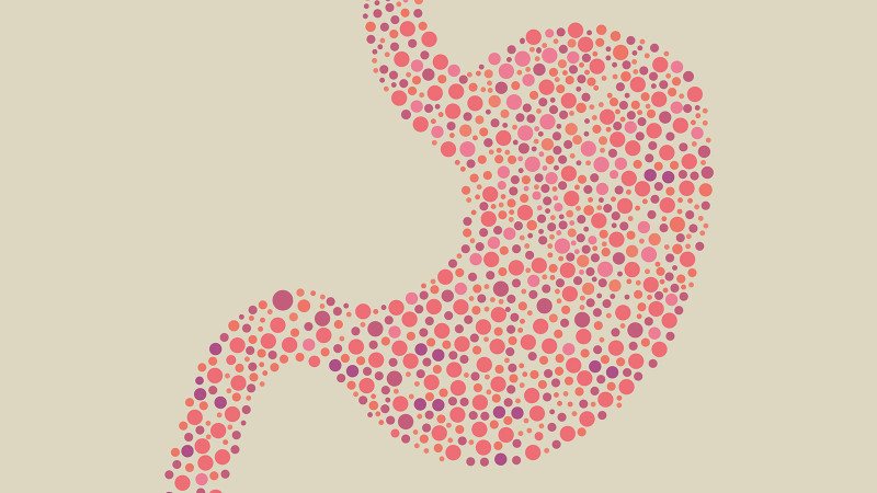 További információ az emésztőrendszer támogatásáról