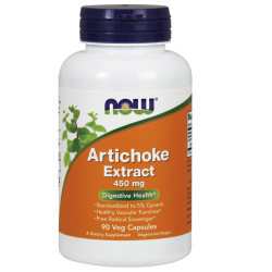 Artichoke Extract 450 mg 90Capsules