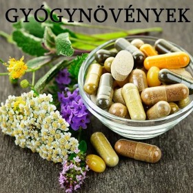 Gyógynövények