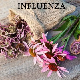 Influenza