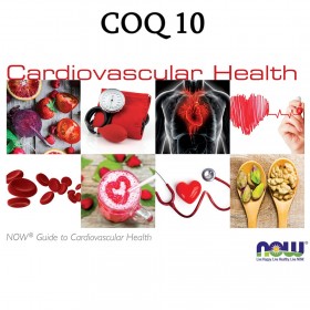 COQ 10
