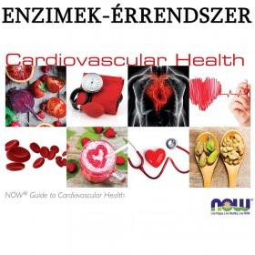 Enzim terápia az érrendszer védelméért