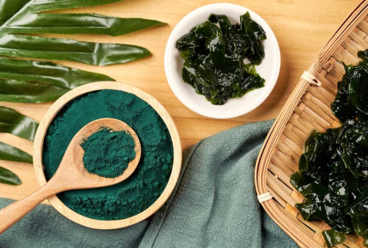 Hogyan támogathatják egészségünket a tengerek zöld kincsei?