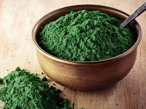 Chlorella