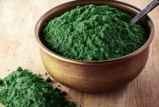 Chlorella