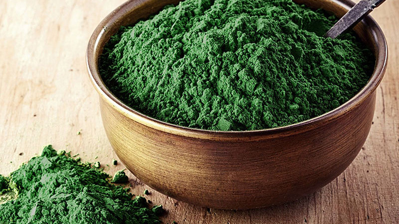 Chlorella