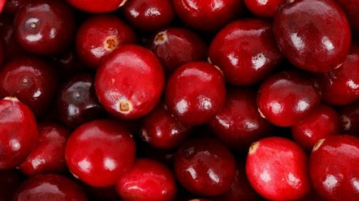 Cranberry - Tőzegáfonya: húgyúti gyulladásokra