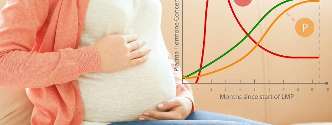 Mikor érdemes progeszteron krémet használni? Mikor érdemes progeszteron krémet használni?